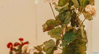 Гостиница Герань Самара-1